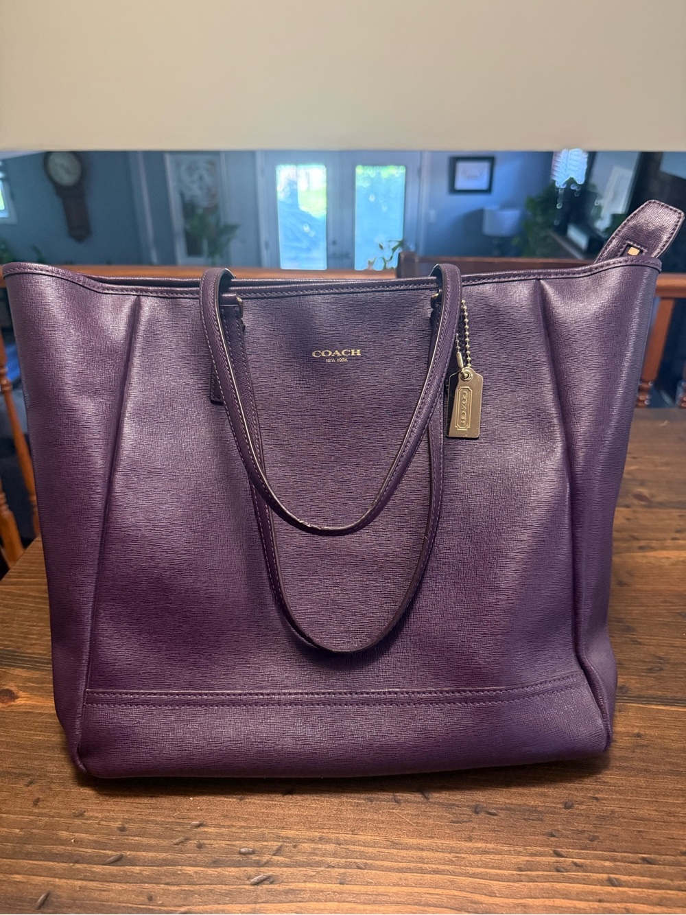 COACH CITY TOTE BAG IN EGGPLANT